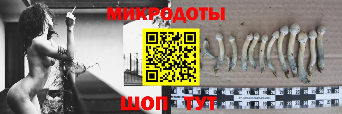 Изобильный  Псилоцибиновые грибы мицелий  Вход с VPN 